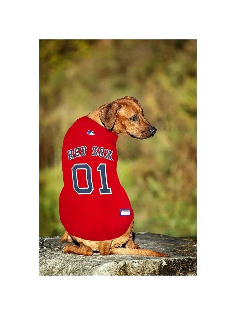 MLB Team Jersey for Dogs Boston Red Sox licensed Cooperstown Medium New with Tag